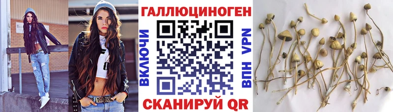 Галлюциногенные грибы мухоморы  Томари 